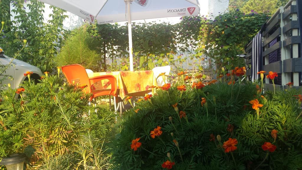 Aparthotel Vila Tufi Velipojë 部屋 写真