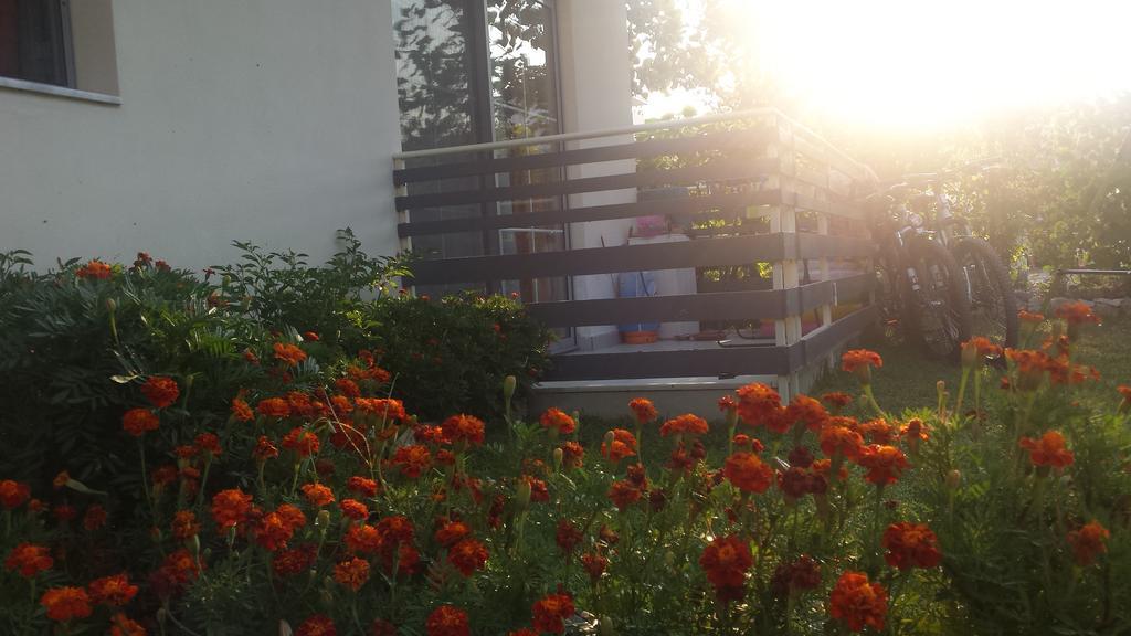 Aparthotel Vila Tufi Velipojë 部屋 写真